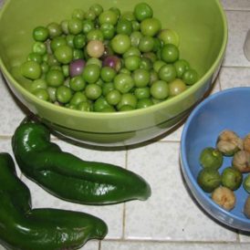 Chili Verde: In Memoriam Image